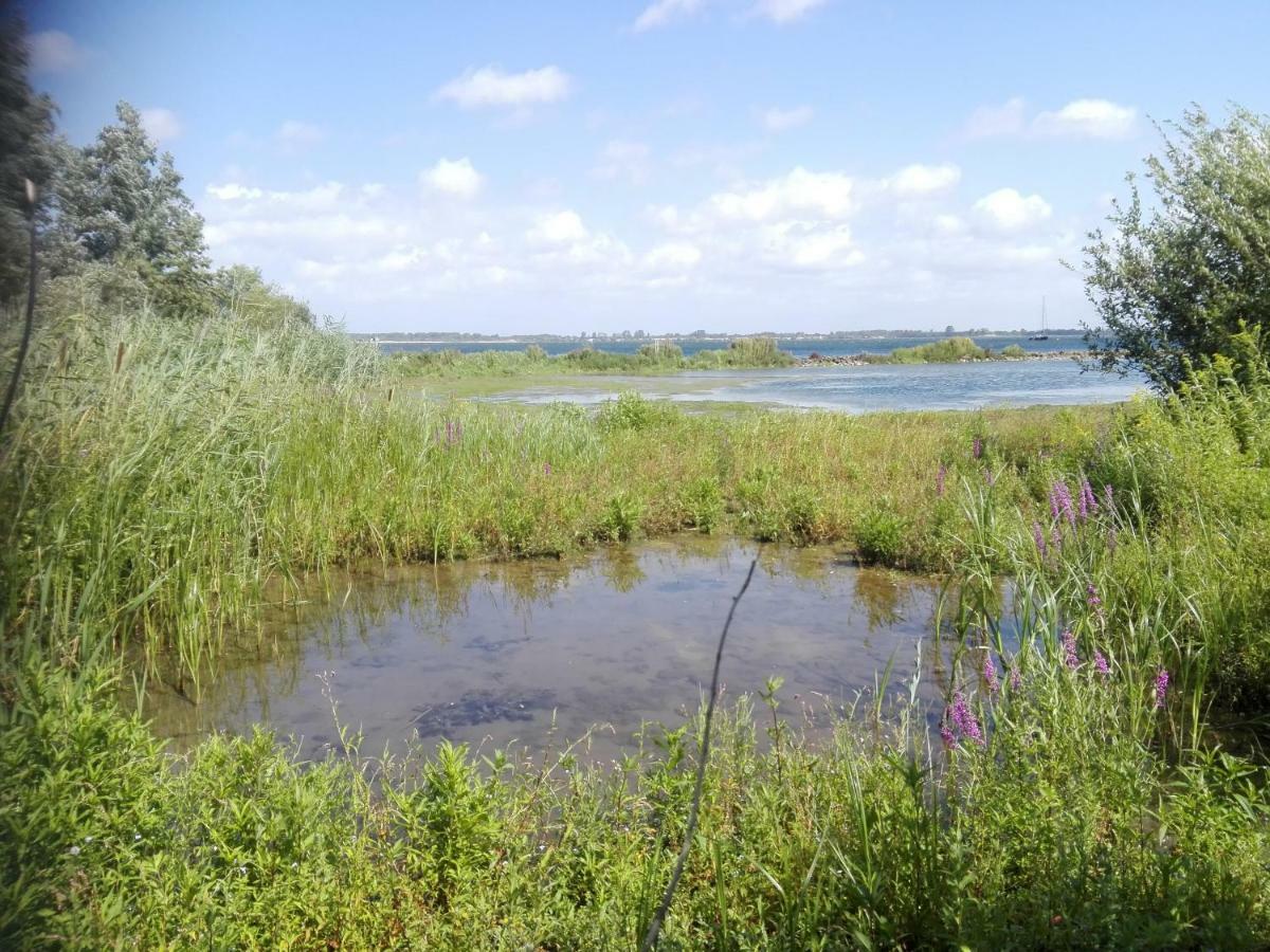 Klepperstee Esdoorn 3 Villa Ouddorp Eksteriør bilde